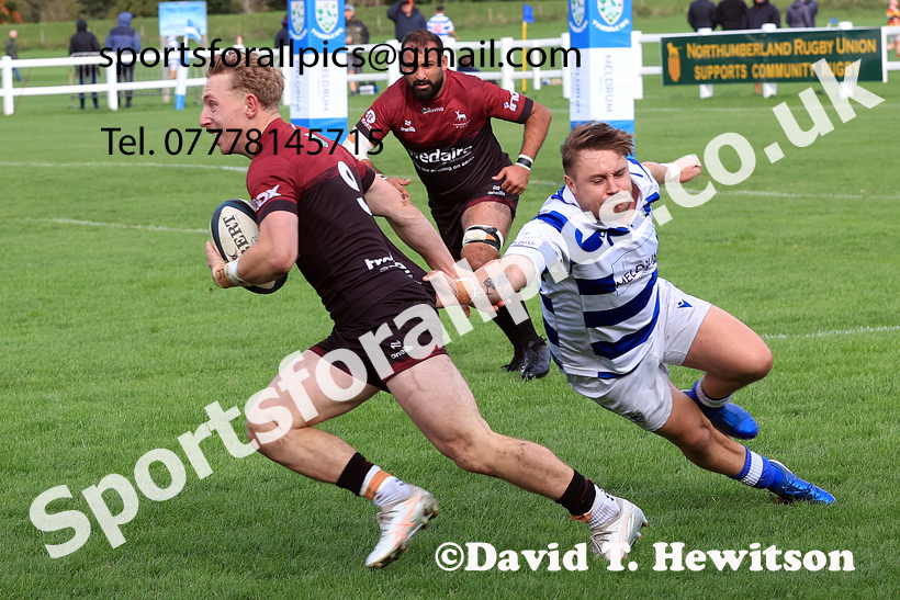 Tynedale v Rossendale, 2025 Tynedale Park, Corbridge, October 4th. Photo: David T. Hewitson/Sports for All Pics